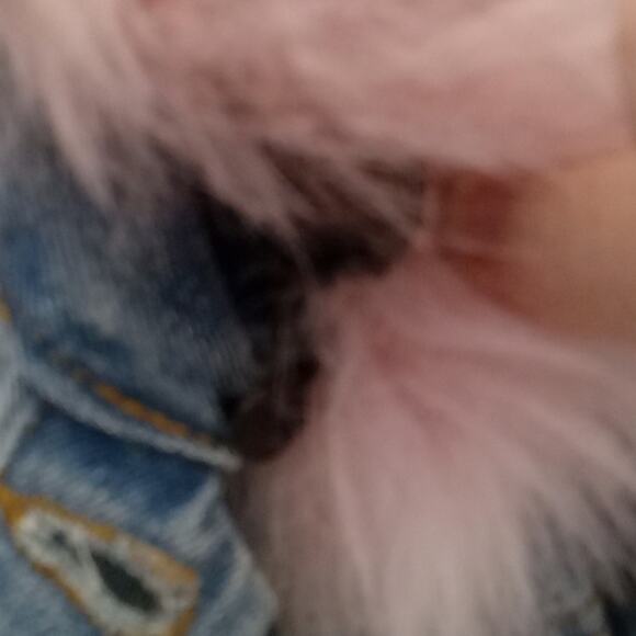 Ci Sono Girls Small Denim Jacket with Pink Faux Fur Collar. - Picture 4 of 8